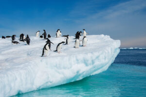 Antarctica photography tours