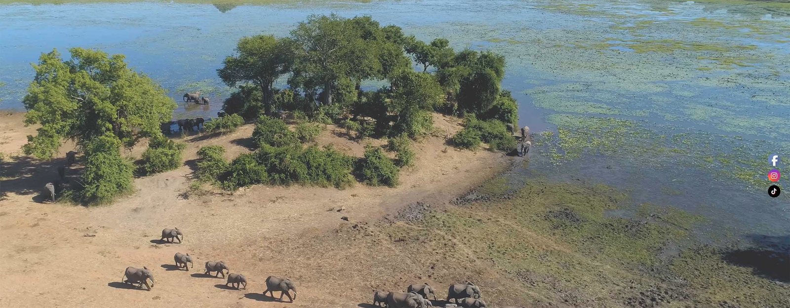 luxury safaris senior citizens