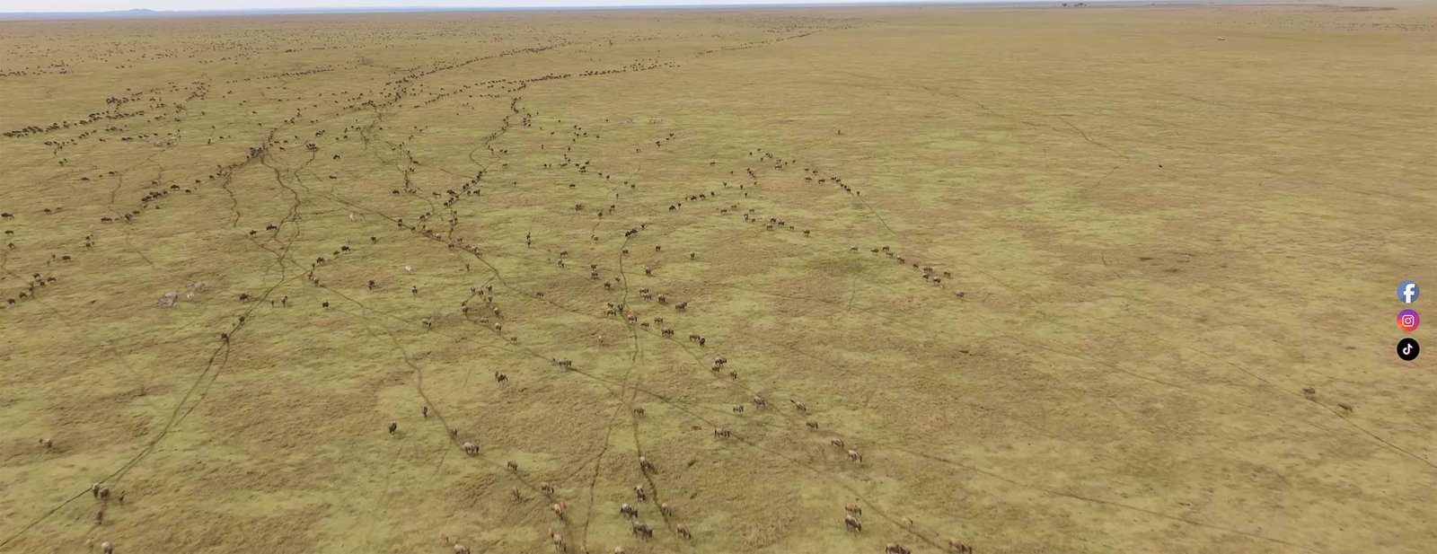 safaris for single travelers